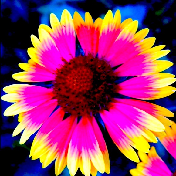 .CLOSET UPDATE - Picture 1 of 1